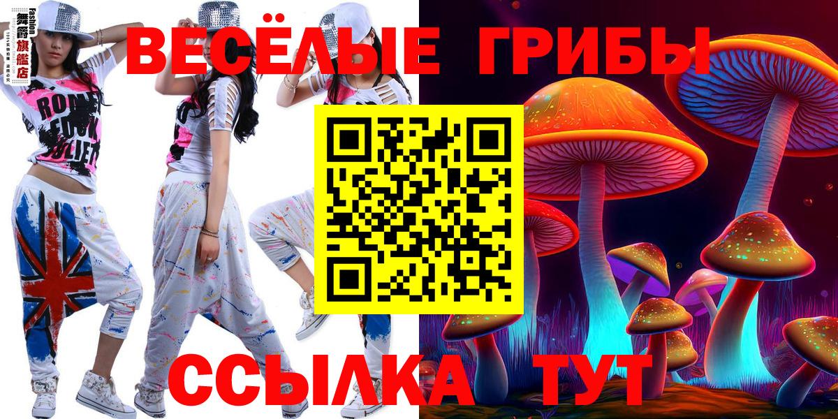 Псилоцибиновые грибы мухоморы Спасск-Дальний